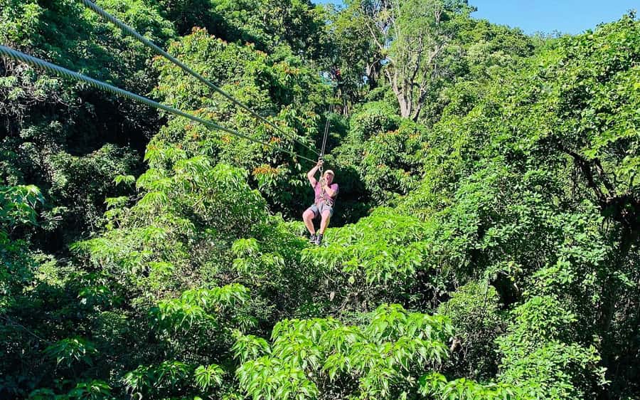 Largest Zipline & Cave Exploration from sigatoka coral coast - Limestone Cave Time: Upper and Lower Mountain Ecosystems