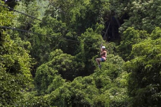 Largest Zipline in South Pacific & Cave Exploration in Nadi - Climbing Through Ecosystems: Vesi Trees, Rain Trees, and Caves