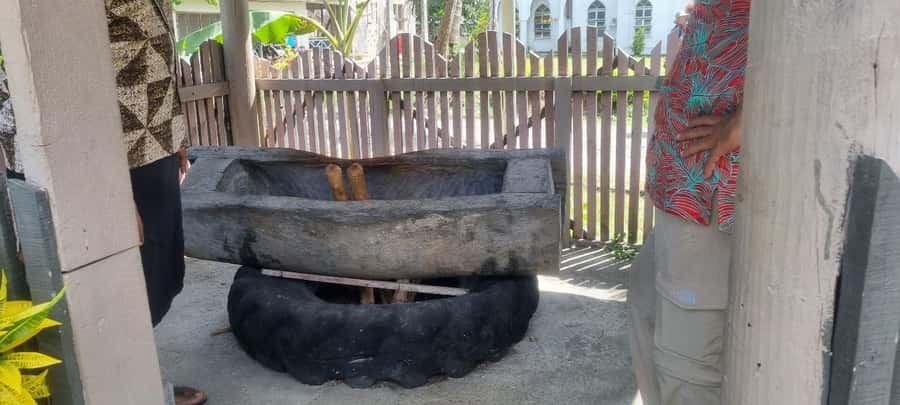 Nadi: Garden Village Hot Spring & Temple Highlights Tour - Who should book this tour, and who might skip it