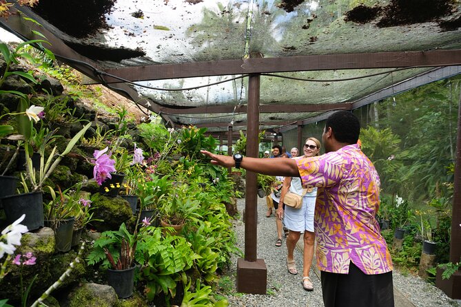 Nadi Heritage Tour - How guides shape the experience, from Ronald to Tora