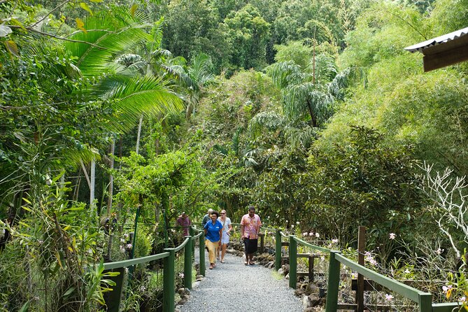 Nadi Heritage Tour - Price and logistics, including pickup, mobile tickets, and what to plan around