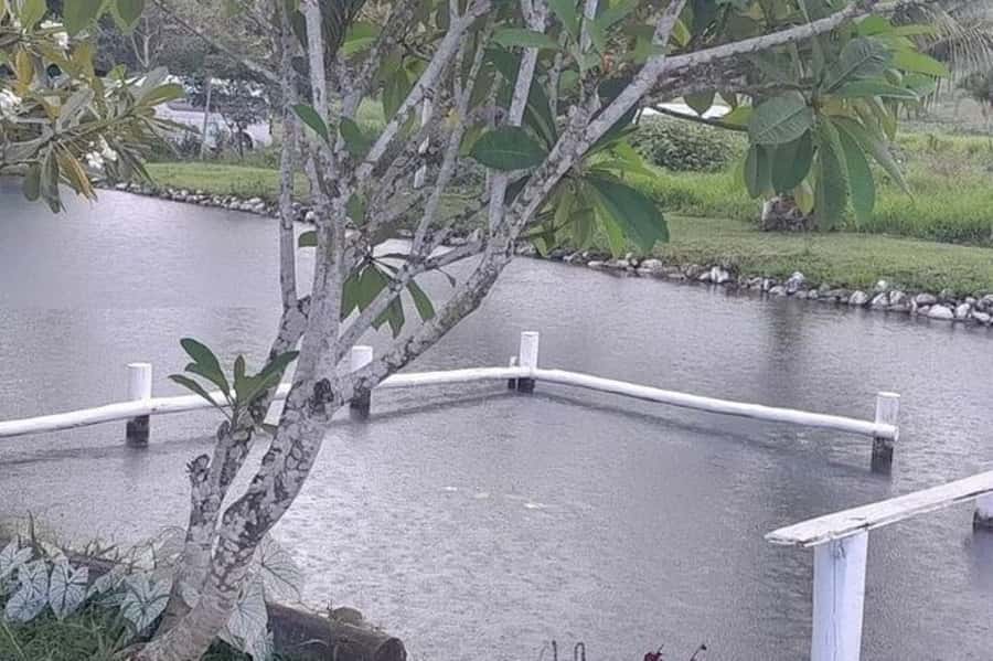Nadi: Mud Pool and Hot Spring Private Tour - Who should book this Nadi mud pool and hot spring tour