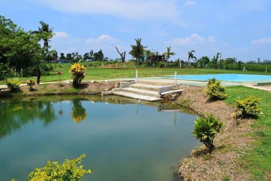 Nadi: Mud Pool and Hot Spring Private Tour - What to bring for a comfortable mud and hot spring visit