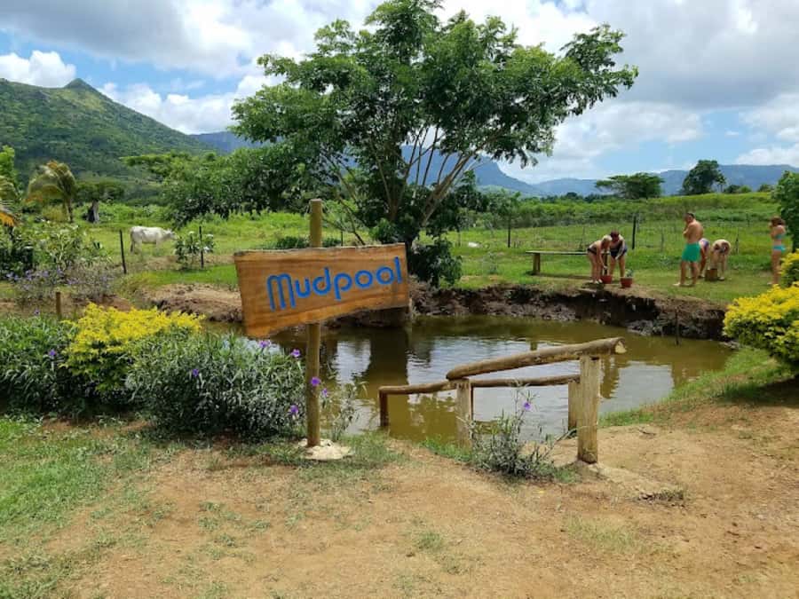 Nadi: Mud Pool and Hot Spring Private Tour - Should you book this tour?