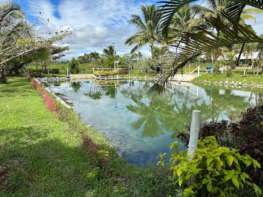 Nadi: Mud Pool and Hot Spring Private Tour - Hot spring soak and the Sleeping Giant backdrop