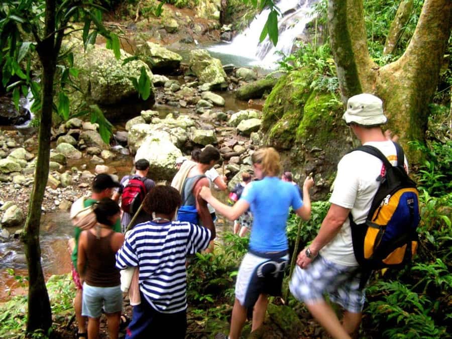 NADI: Nalesutale Village Half Day Tour - Key takeaways before you go