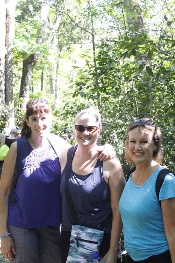 NADI: Nalesutale Village Half Day Tour - Herbal medicine lessons you can actually picture