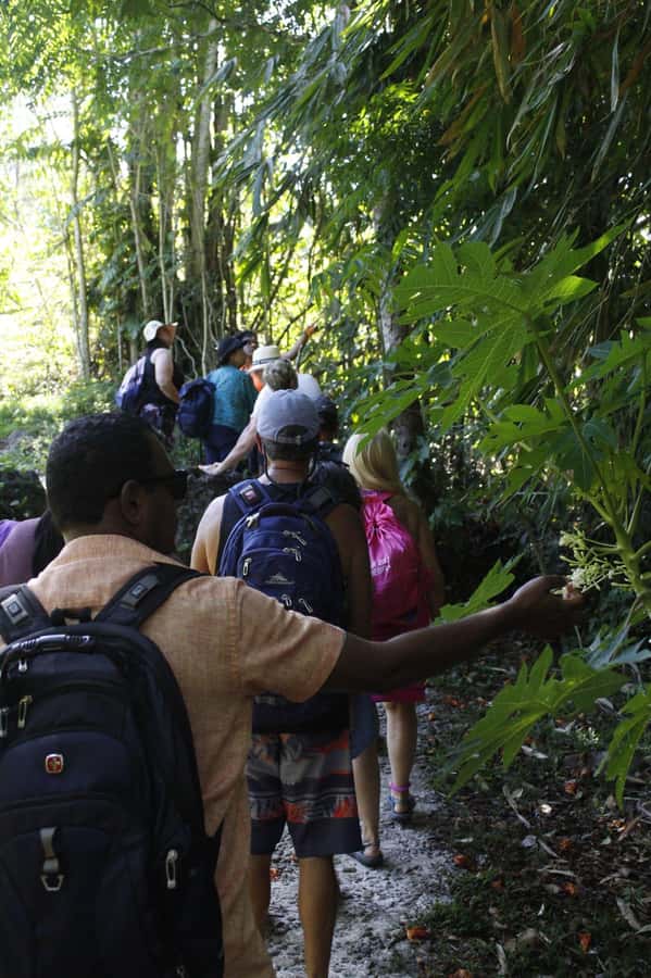 NADI: Nalesutale Village Half Day Tour - What to bring, what to wear, and what to avoid