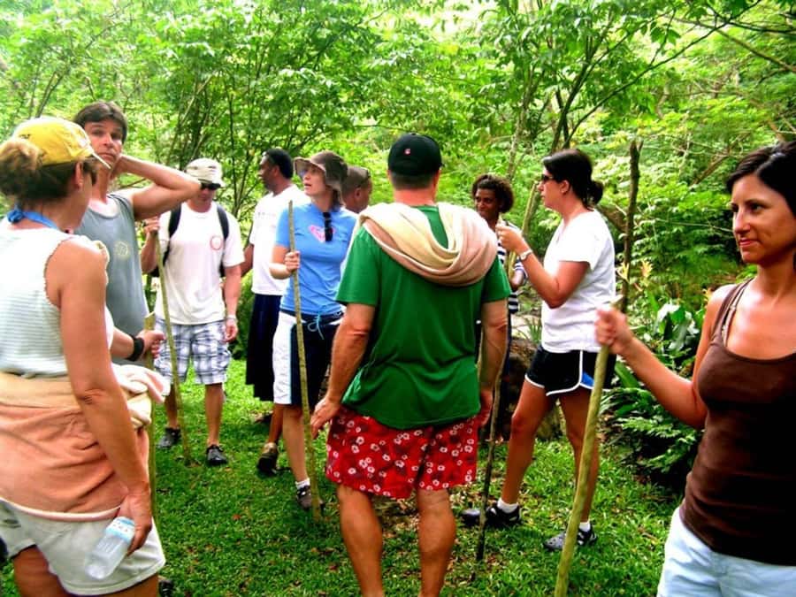 NADI: Nalesutale Village Half Day Tour - How the half-day flows, pickup to rainforest start