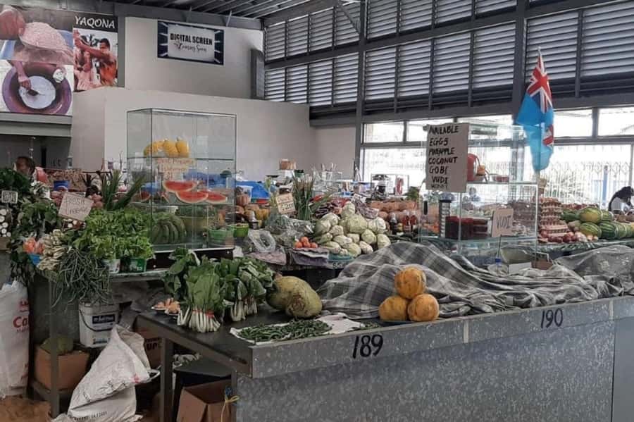 Nadi: Private Tour with Temple, Garden, Markets & Mud Pools - Key highlights worth planning around