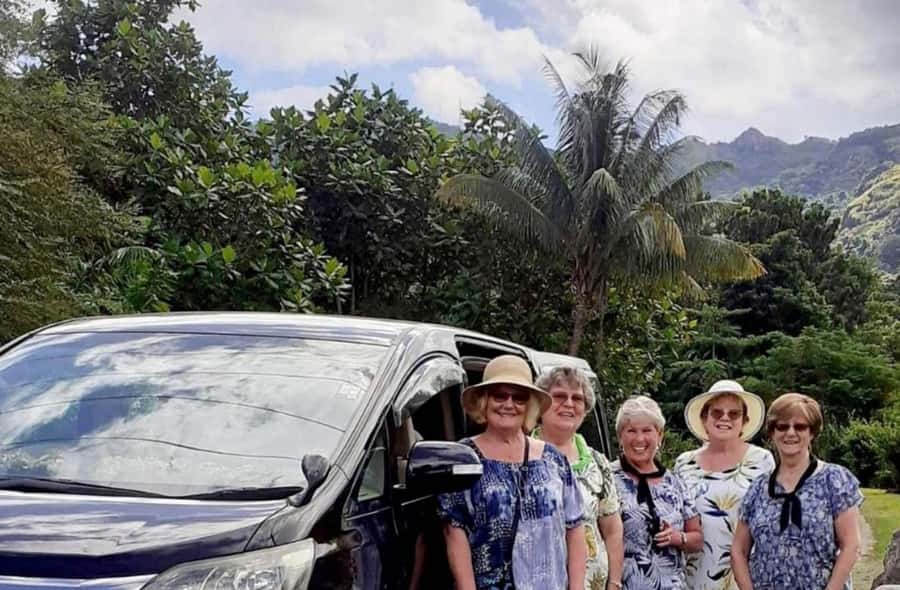 Nadi: Private Tour with Temple, Garden, Markets & Mud Pools - Sabeto Hot Springs and Mud Pool: plan your soak, not just the view