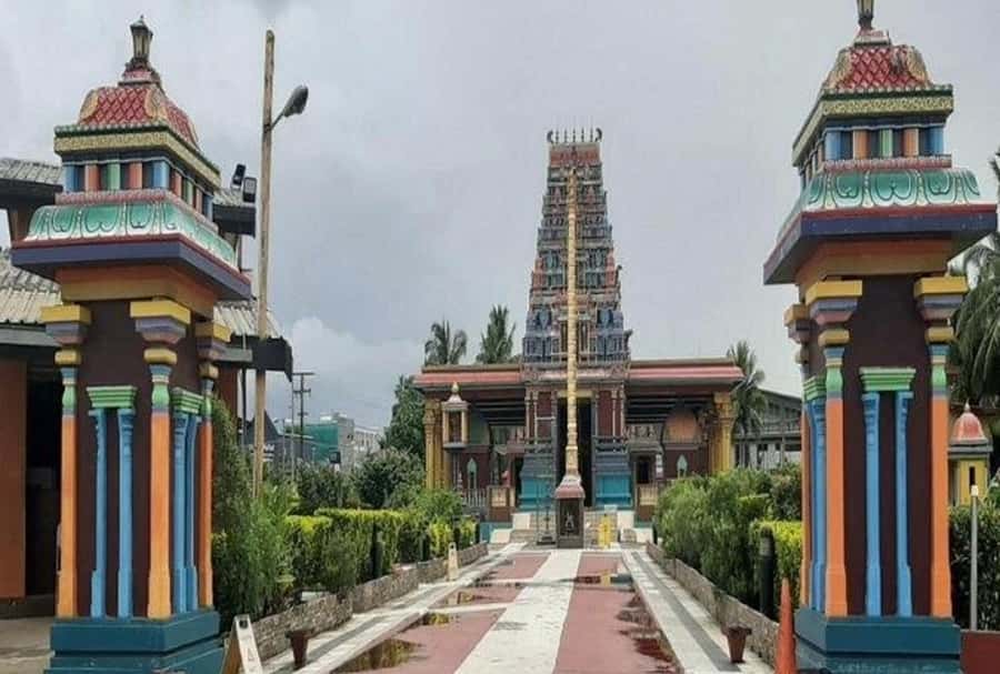 Nadi: Private Tour with Temple, Garden, Markets & Mud Pools - Private guide and small group limit: why that matters in Nadi