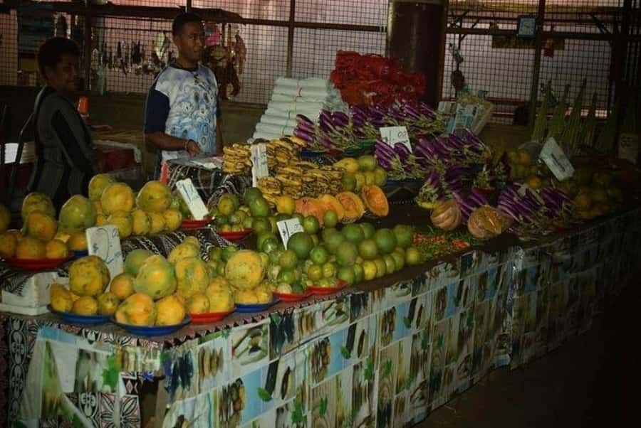 Nadi: Private Tour with Temple, Garden, Markets & Mud Pools - Pickup, transfers, and how the 5 hours usually feel