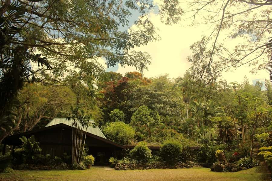 NADI-SABETO: Exquisite Orchid Garden with Hotspring Mudpool - Should you book the Nadi-Sabeto orchid garden and mud pool tour?