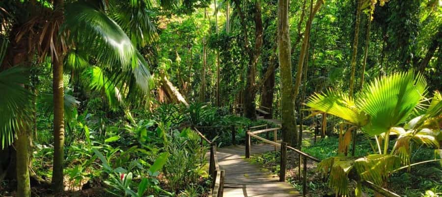 NADI-SABETO: Exquisite Orchid Garden with Hotspring Mudpool - Mud wrap and mud pool bath: the therapeutic part you actually participate in