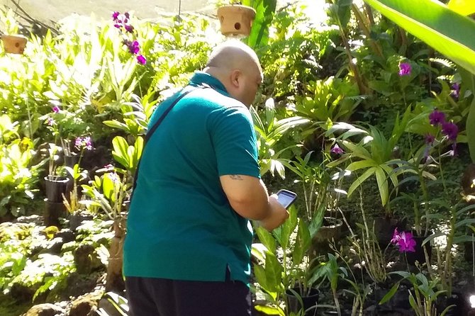 Nadi Sightseeing Including Viseisei Lookout, Village Tour, Garden & Temple Tour - Vuda Point Marina and Anchorage Lookout: the quick view that helps everything else