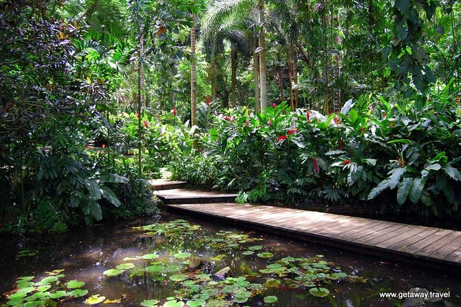 Nadi Sightseeing & Mud Pool Tour - Ex Fiji Marriott, Momi Bay - Hotel pickup, 8:00 am start, and the pace you should expect