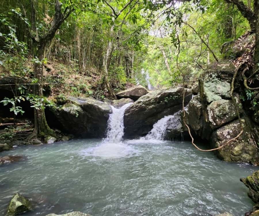 Nadi: Waterfall Tour Adventure with Refreshments and Lunch - Key highlights you will actually feel