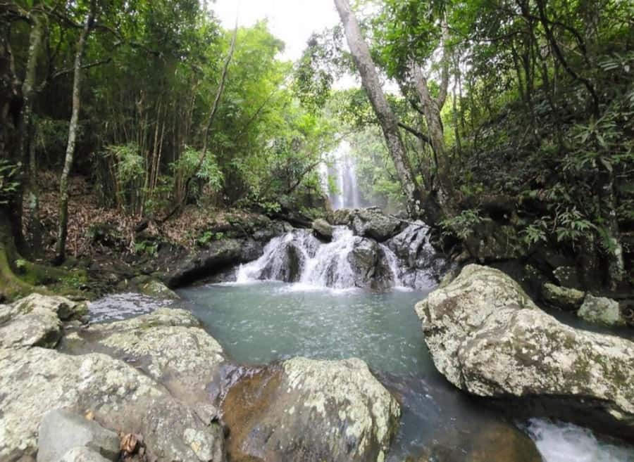 Nadi: Waterfall Tour Adventure with Refreshments and Lunch - Nadi’s only waterfall, and why that matters for your day