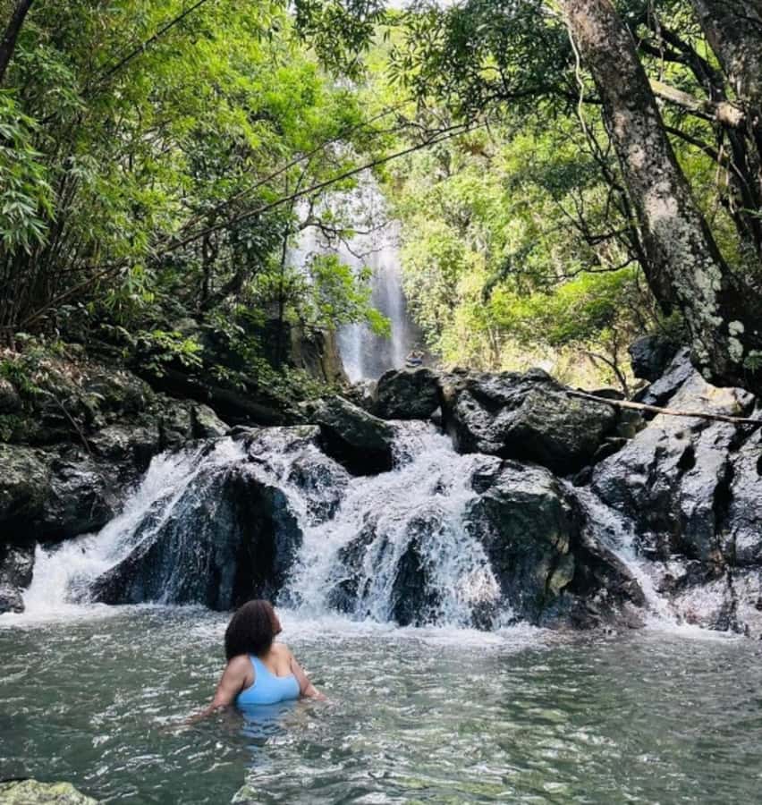Nadi: Waterfall Tour Adventure with Refreshments and Lunch - Salt-feeding farm time and the quiet charm of daily life