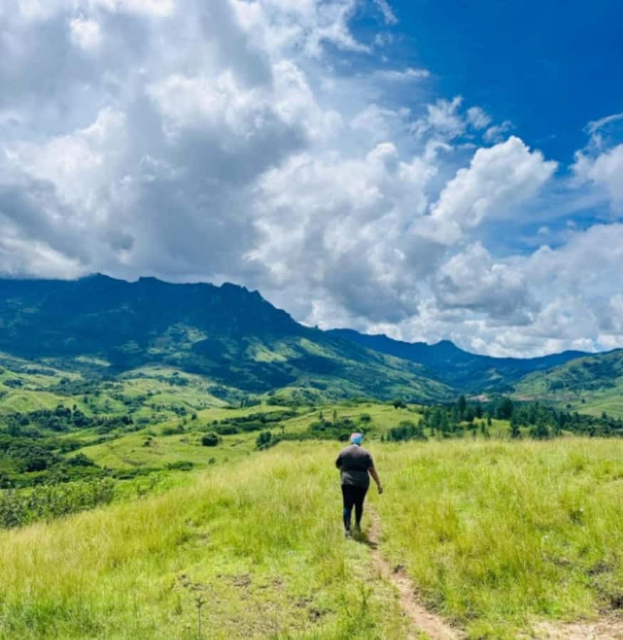 Nadi: Waterfall Tour Adventure with Refreshments and Lunch - Price and value: what you get for about $140