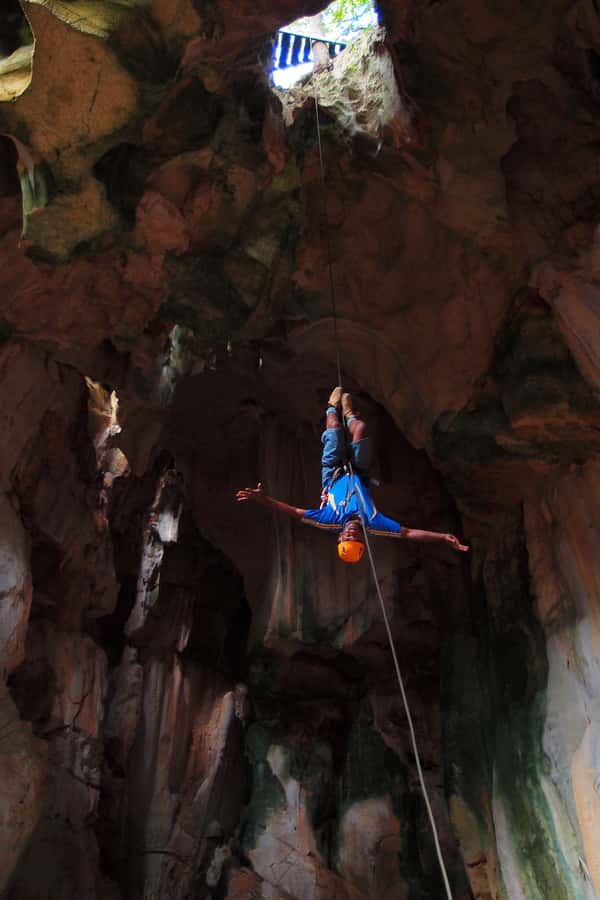 Nadi: Zipline Adventure with Cave Exploration - The Vesi Trees and the Kava Ceremony Connection