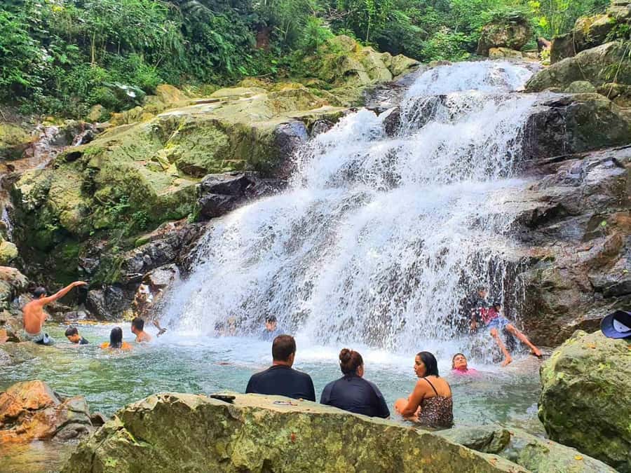 Nadi: Zipline, Waterfalls, and Jungle Safari Tour with Lunch - Key highlights worth your attention