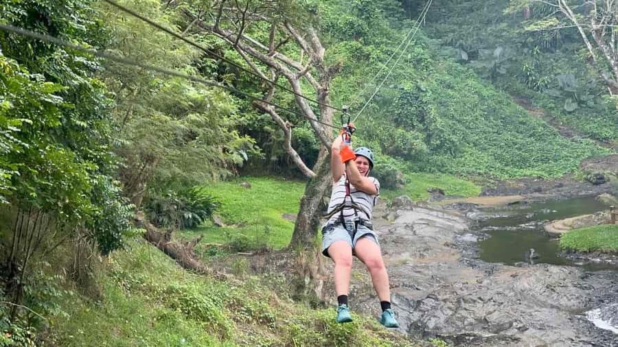Nadi: Zipline, Waterfalls, and Jungle Safari Tour with Lunch - Why this Nadi zipline + waterfalls day is a smart combo