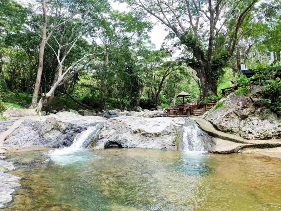 Nadi: Zipline, Waterfalls, and Jungle Safari Tour with Lunch - The 7-line zipline course: speed, height, and comfort tips