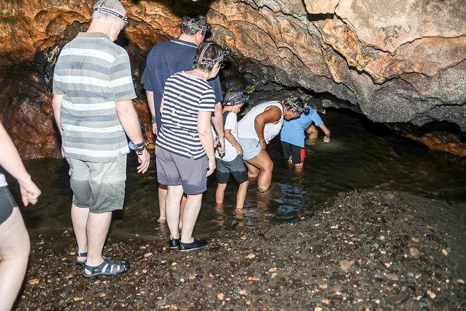 Naihehe Cave Safari in Sigatoka with BBQ Lunch - The kava ceremony and village context: why it adds meaning