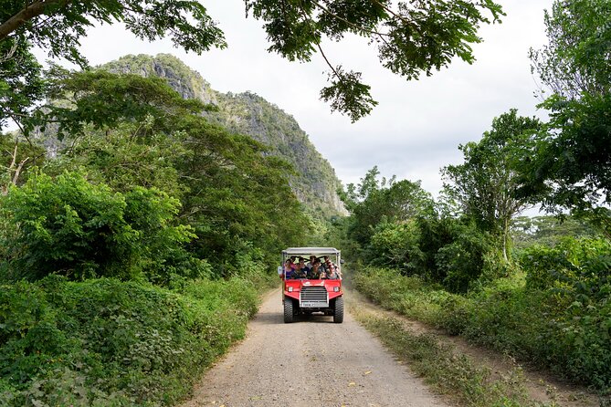 Naihehe Cave Safari in Sigatoka with BBQ Lunch - Price and value: is $126.53 worth it?