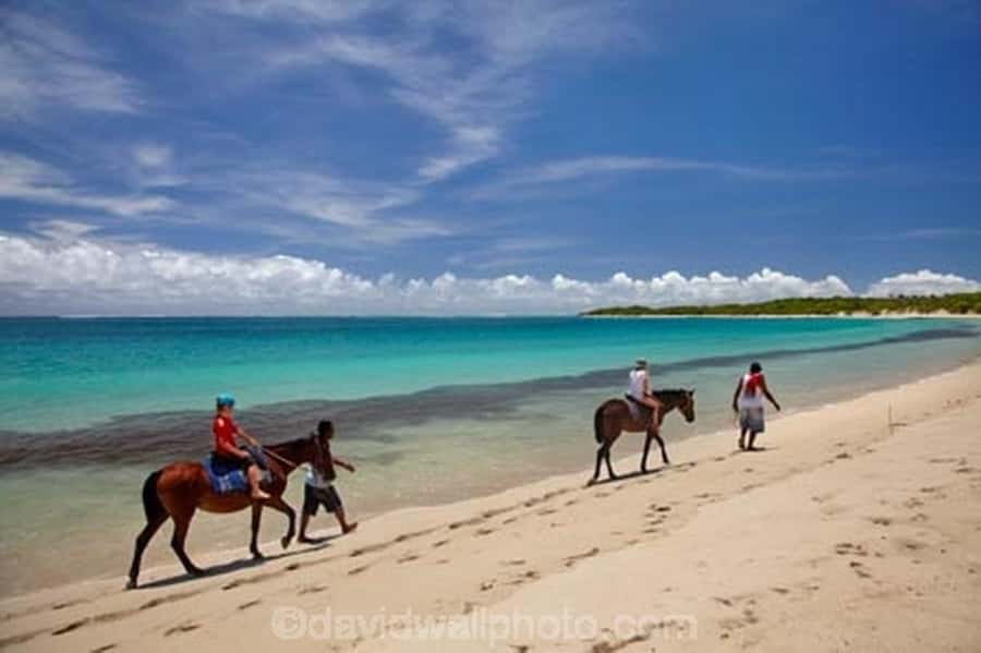 Natadola Beach Tour With Tifajek Mud Pool & Hotspring - Price and value check: how $102 stacks up for transfers plus entries