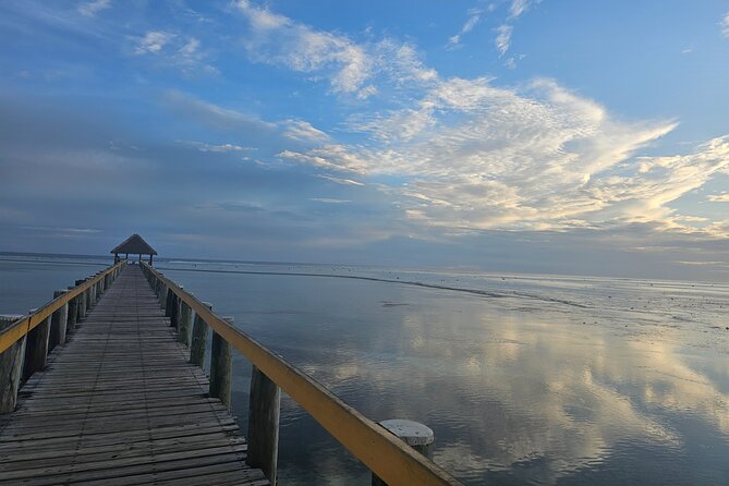 Premier Transfers and Tours Fiji - The Ride Comfort: Air Conditioning, WiFi, and Bottled Water