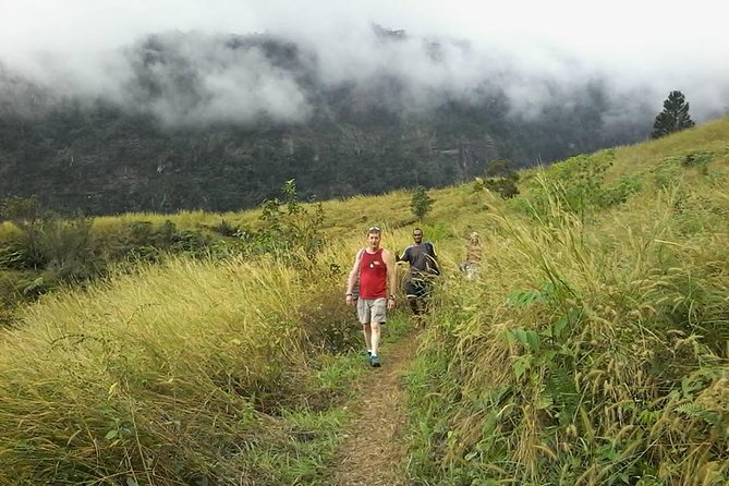 Private Breathtaking Koroyanitu Half Day Waterfall Hike - Why Koroyanitu feels like real Fiji, not a checklist