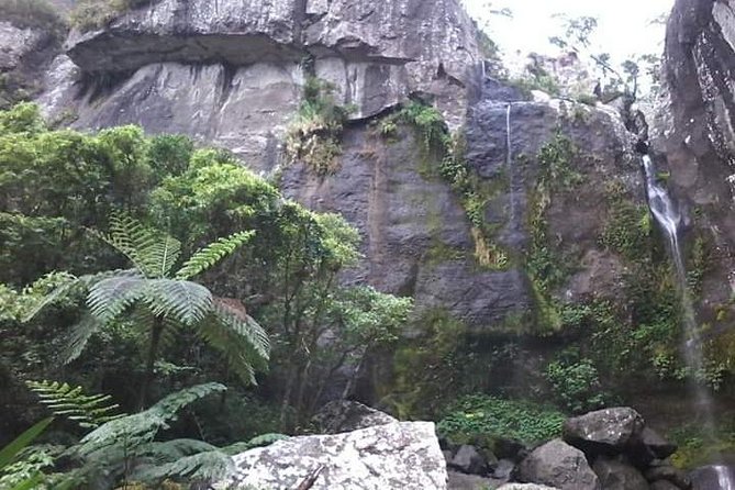Private Breathtaking Koroyanitu Half Day Waterfall Hike - Pickup from Nadi, plus the cultural road stops before the hike