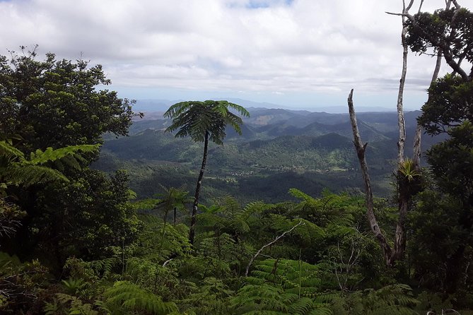 Private Breathtaking Mnt Victoria Day Trek - Tavua Breakfast Stop: Quick Fuel, Zero Ticket Hassle