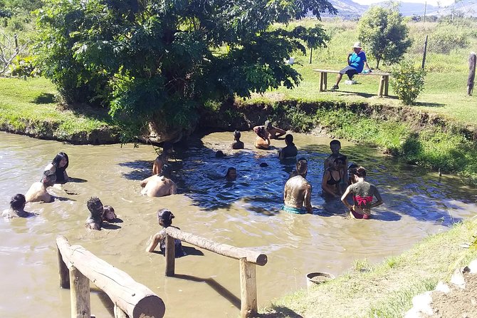 Private Lautoka Shore Excursion including Viseisei Village - Price and Logistics: What $111.71 Buys You, and What It Doesn’t