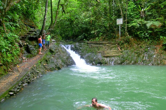 Private Suva Nature and Waterfall Tour - The private guide and vehicle, why it changes the day