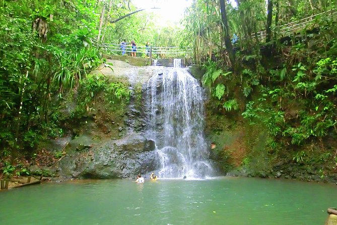 Private Suva Nature and Waterfall Tour - Who this tour fits best, and who might want to reconsider