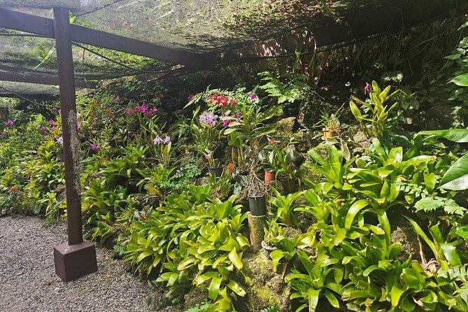 Private Tour: Best of Nadi Highlights - Viseisei Village, Fiji’s Oldest Village and the Stories Behind Daily Life
