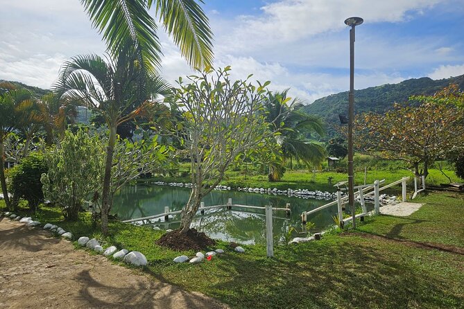 Private Tour: Hot spings & Sleeping Giant Garden hiking Adventure - Price and value: what $82.31 buys you in real terms