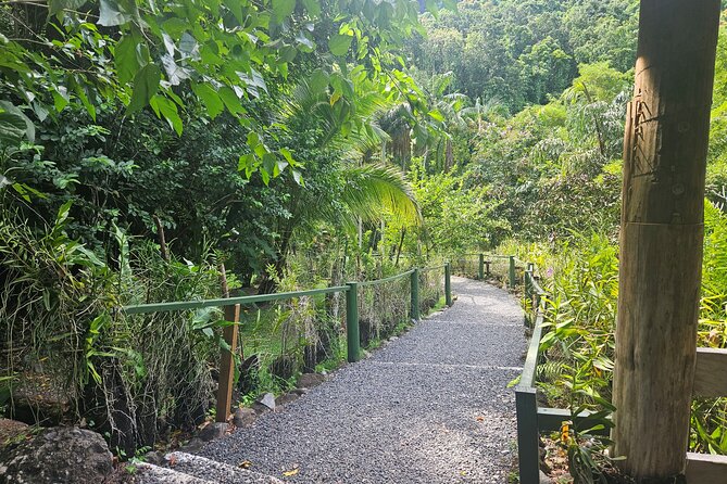 Private Tour: Hot spings & Sleeping Giant Garden hiking Adventure - What to pack for mud, heat, and uneven garden paths