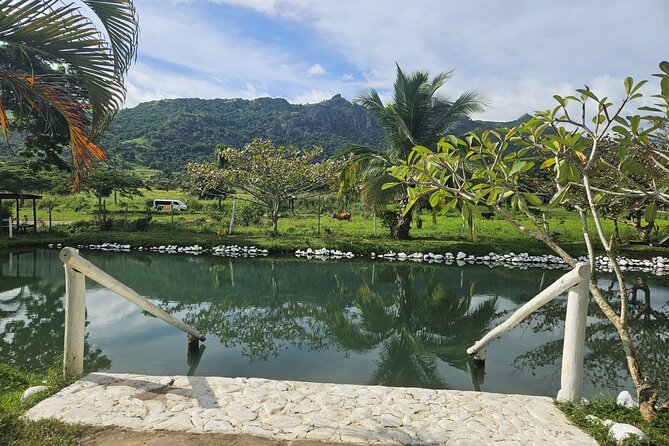 Private Tour: Hot spings & Sleeping Giant Garden hiking Adventure - Should you book this Hot Springs and Sleeping Giant Garden tour?