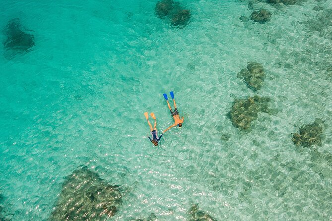 Ride & Slide by South Sea Cats - Half Day Snorkelling Trip - The Inflatable Slide: The Moment Everyone Remembers