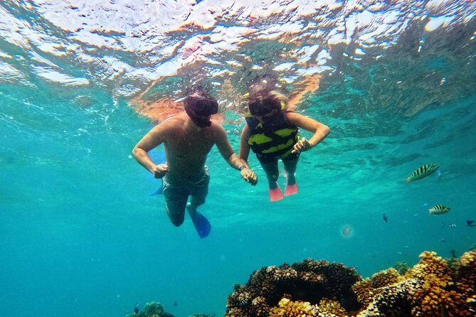 Ride & Slide by South Sea Cats - Half Day Snorkelling Trip - Who This Trip Suits Best (And Who Should Skip It)