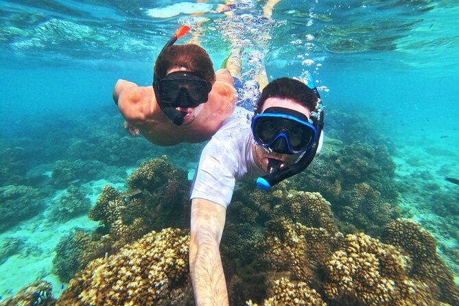 Ride & Slide by South Sea Cats - Half Day Snorkelling Trip - Who this suits best in Nadi and Fiji
