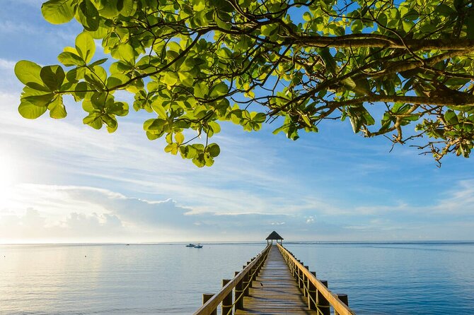 Round The Island Day Trip Fiji- Viti Levu - Pacific Harbour and the Pacific Art Village: Culture Without the Classroom