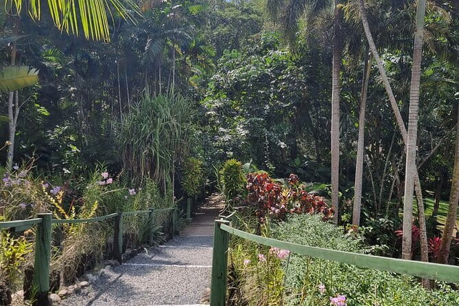 Round The Island Day Trip Fiji- Viti Levu - Sugar City, Ports, and Veiseisei Village From Outside