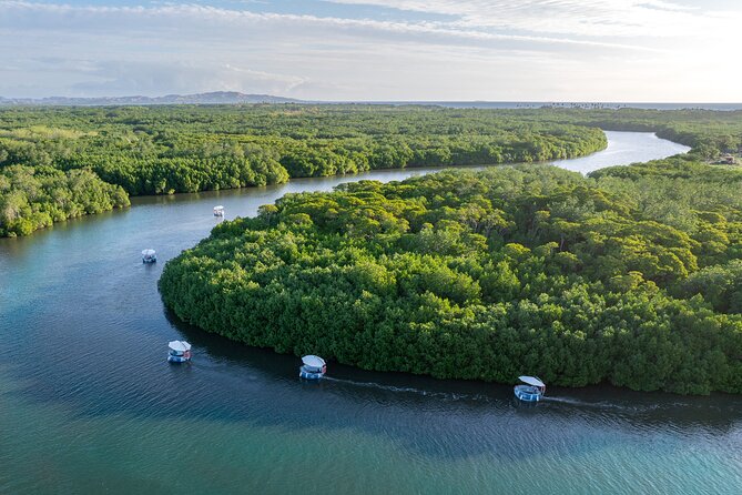 Self Drive BBQ eBoat Cruise with Onboard BBQ Denarau Fiji - Denarau’s eco-electric self-drive BBQ boat, in plain language