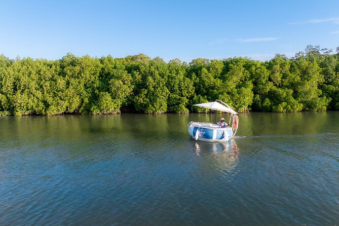 Self Drive BBQ eBoat Cruise with Onboard BBQ Denarau Fiji - Captaining your own boat: the real value of self-drive